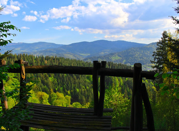 Study Abroad Reviews for IES Abroad: Freiburg - Environmental Studies & Sustainability