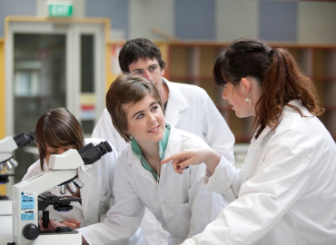 Study Abroad Reviews for College Consortium for International Studies (CCIS): Auckland - Massey University