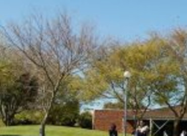 Study Abroad Reviews for Asia Exchange: Study Abroad in New Zealand