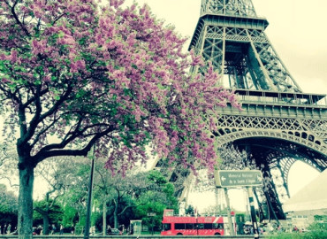Study Abroad Reviews for New York University, Tisch Study Abroad: Paris - Experimental Production Workshop