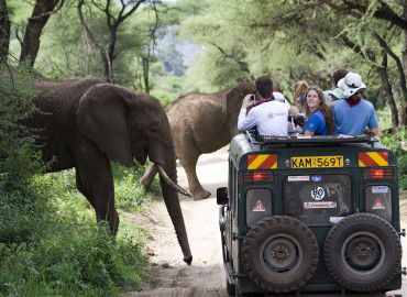 Study Abroad Reviews for The School for Field Studies / SFS: Kenya - Wildlife and Water Studies
