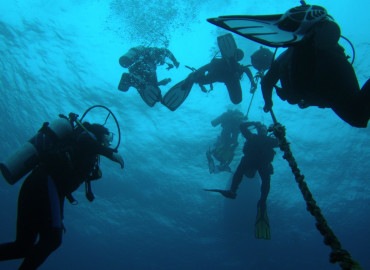 Study Abroad Reviews for Forfar Marine Science Program