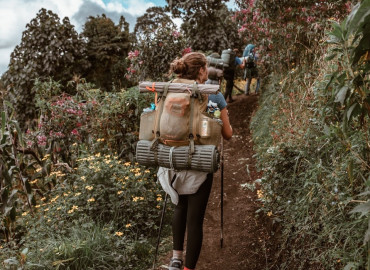 Study Abroad Reviews for Pacific Discovery: Costa Rica Summer Program