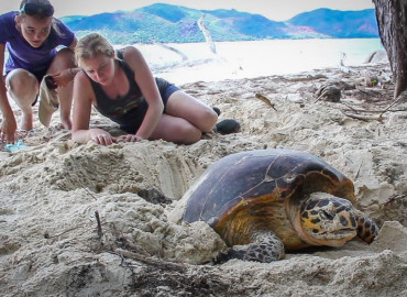 Study Abroad Reviews for GVI: Curieuse - Seychelles Environmental Conservation Short Term Internship