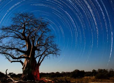 Study Abroad Reviews for CIEE: Semester in Gaborone