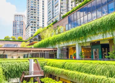 Study Abroad Reviews for CIEE: São Paulo - Sustainable Smart Cities