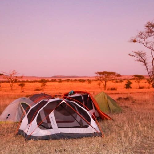 SIT Study Abroad: Tanzania - Wildlife Conservation and Political Ecology