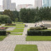 Photo of SRAS: Moscow - Politics and International Relations at MGIMO