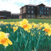 Photo of API (Academic Programs International): Edinburgh - Heriot-Watt University