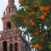 Photo of CIEE: Seville - Business + Society