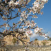 Photo of CIEE: Palma de Mallorca - Liberal Arts