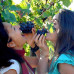 Photo of IES Abroad: Rome Summer - Language & Culture