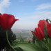 Photo of St. John's University: Rome - Discover Italy