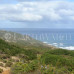 Photo of Earthwatch: Australia - Conserving Koala Country