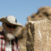 Photo of Earthwatch: Mongolia - Archaeology of the Mongolian Steppe
