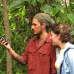Photo of The School for Field Studies / SFS: Australia – Rainforest studies