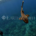 Photo of Earthwatch: Belize - Shark and Ray Conservation in Belize