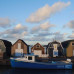 Photo of Earthwatch: Canada - Mammals of Nova Scotia