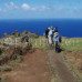 Photo of Earthwatch: Chile - Restoring Easter Island's Forests