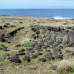 Photo of Earthwatch: Chile - Restoring Easter Island's Forests