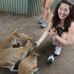 Photo of Boston University: Sydney - Sydney Internship Program