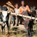 Photo of Earthwatch: Madagascar - Carnivores of Madagascar