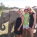 Photo of AIFS: Stellenbosch - Study Abroad or Service Learning at Stellenbosch University