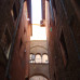 Photo of CEA CAPA Education Abroad: Rome, Italy
