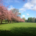 Photo of Arcadia: Edinburgh - University of Edinburgh