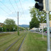 Photo of IES Abroad: Freiburg - Environmental Studies & Sustainability