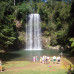 Photo of The School for Field Studies / SFS: Australia – Rainforest studies