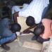 Photo of Study Abroad Programs in Kenya