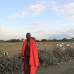 Photo of SIT Study Abroad: Kenya - Global Health and Human Rights