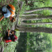 Photo of Wildlands Studies: Patagonia Ecosystems: The Chile Project