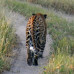Photo of Round River Conservation Studies - Botswana Program