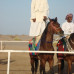 Photo of Northwestern College: Muscat - Spring Semester in Oman
