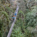 Photo of Wildlands Studies: The Peru Project: Ecosystem Conservation And Culture