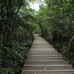 Photo of National University of Singapore: Singapore - Direct Enrollment & Exchange