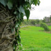 Photo of New York University: Dublin - NYU Summer in Dublin