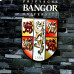 Photo of Arcadia: Bangor - Bangor University