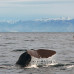 Photo of Sea Education Association: Programs at Sea - Ocean Exploration
