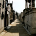 Photo of World Endeavors: Volunteer in Argentina