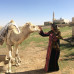 Photo of SIT Study Abroad: Jordan - Refugees, Health, and Humanitarian Action