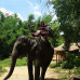 Photo of Utah State University: USU Go Global Asia, Hosted by the Asia Institute