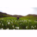 Photo of The GREEN Program: Iceland - Sustainability and Renewable Energy Abroad