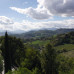 Photo of University of Georgia: Studies Abroad Program in Cortona, Italy