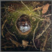 Photo of Atelier Neo Medici: Villeneuve sur Lot - Annual Painting Course & 2-month Intensive Painting Workshop