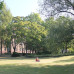 Photo of FU-BEST: Berlin - European Studies Program