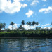 Photo of Broadreach: Program at Sea - Fiji Shark Studies
