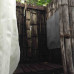 Photo of Round River Conservation Studies: Costa Rica – The Osa Peninsula